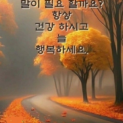 피드 이미지