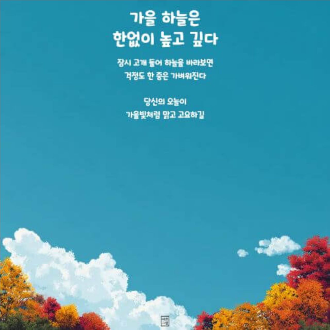피드 이미지