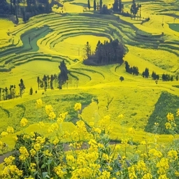 피드에 업로드 된 이미지