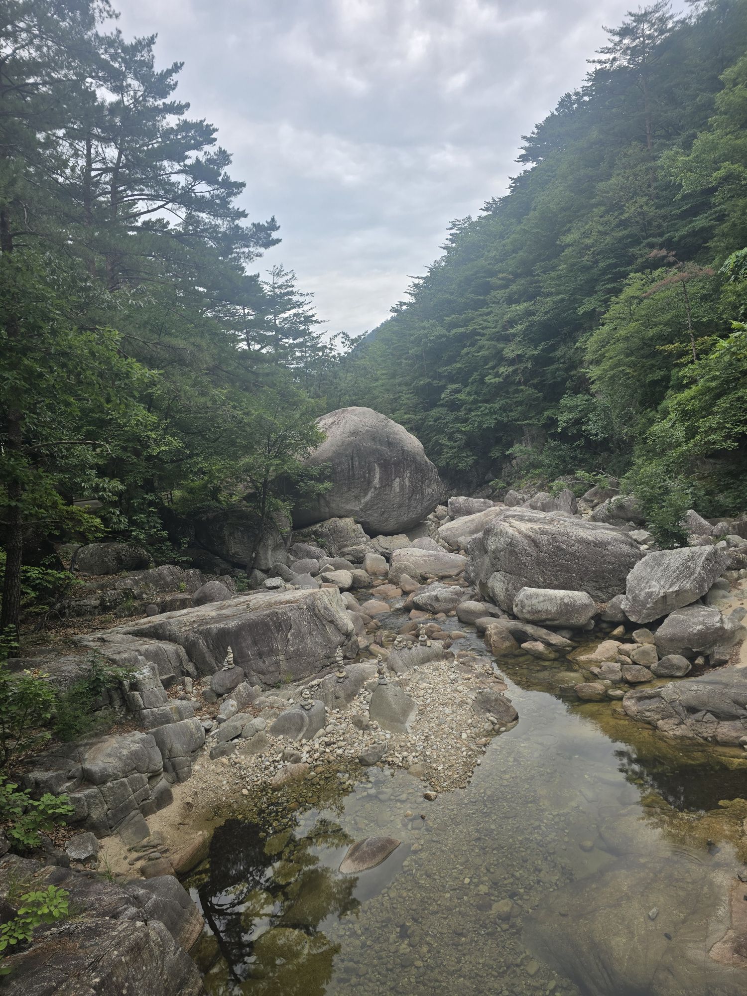 피드 이미지