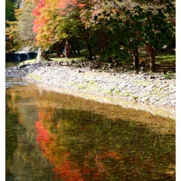 피드에 업로드 된 이미지