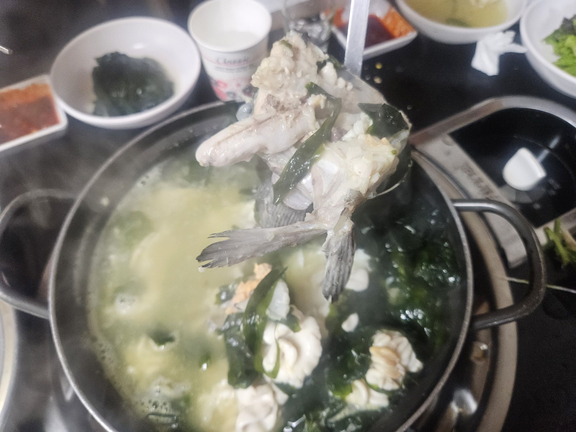 피드 이미지