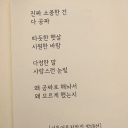 피드에 업로드 된 이미지