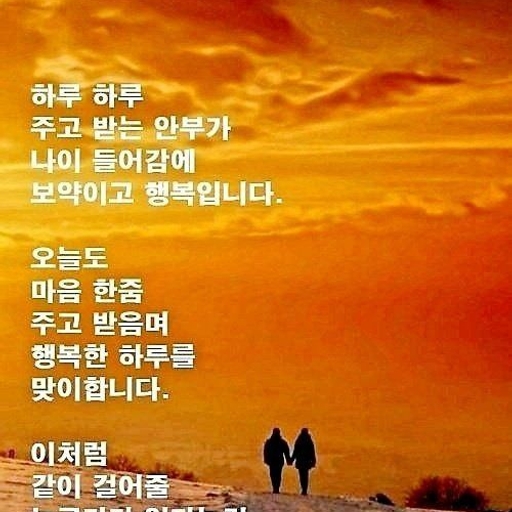 피드 이미지
