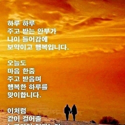 피드에 업로드 된 이미지