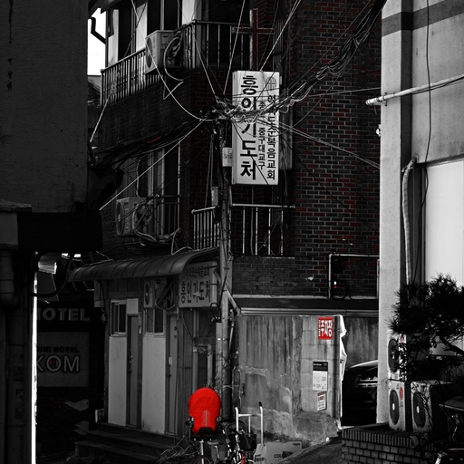 피드 이미지