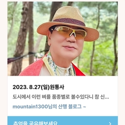 피드에 업로드 된 이미지
