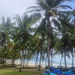 ํผ๋์ ์
๋ก๋ ๋ ์ด๋ฏธ์ง