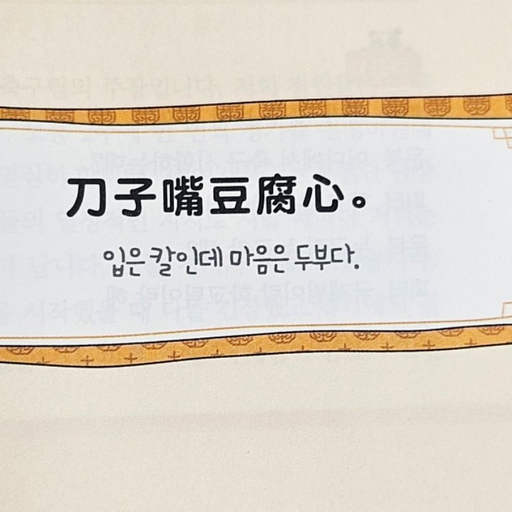 피드 이미지