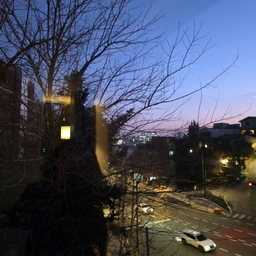 피드에 업로드 된 이미지