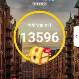 피드에 업로드 된 이미지