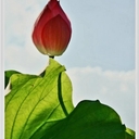 참가 유저 프로필