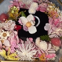 피드 작성자 프로필