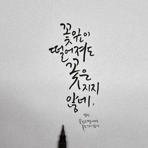 피드 이미지