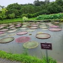 멤버 프로필
