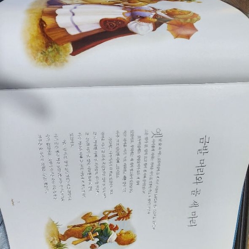 피드 이미지