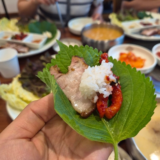 피드 이미지