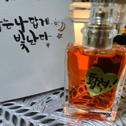 피드에 업로드 된 이미지