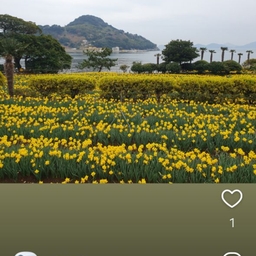피드에 업로드 된 이미지