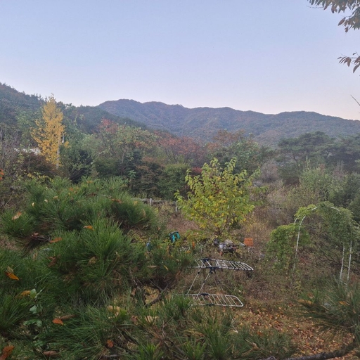 피드 이미지