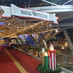 피드에 업로드 된 이미지