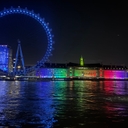 피드 작성자 프로필