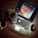 참가 유저 프로필