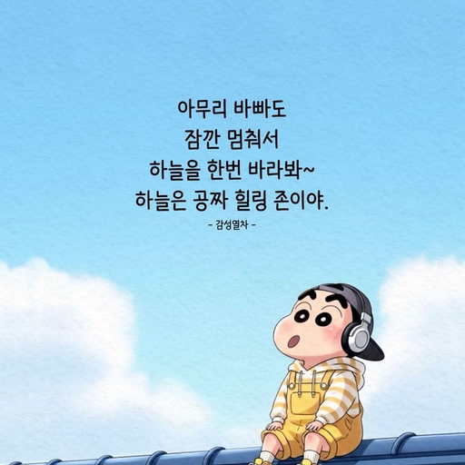 피드 이미지