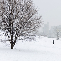 피드에 업로드 된 이미지