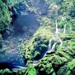 피드에 업로드 된 이미지