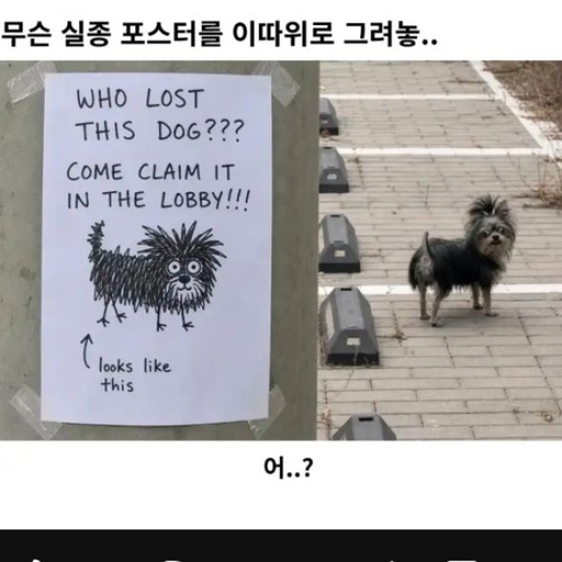 피드 이미지
