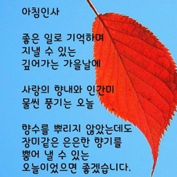 피드에 업로드 된 이미지