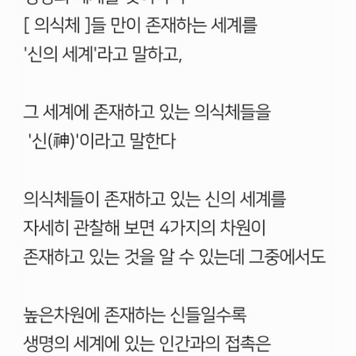 피드 이미지