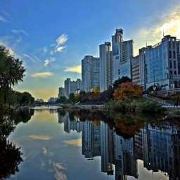 피드에 업로드 된 이미지