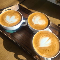 피드에 업로드 된 이미지