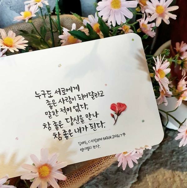 피드에 업로드 된 이미지