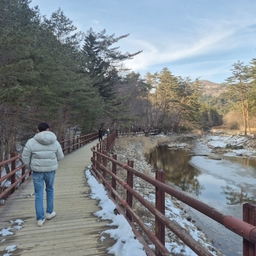 피드에 업로드 된 이미지