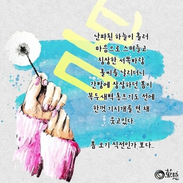 피드에 업로드 된 이미지