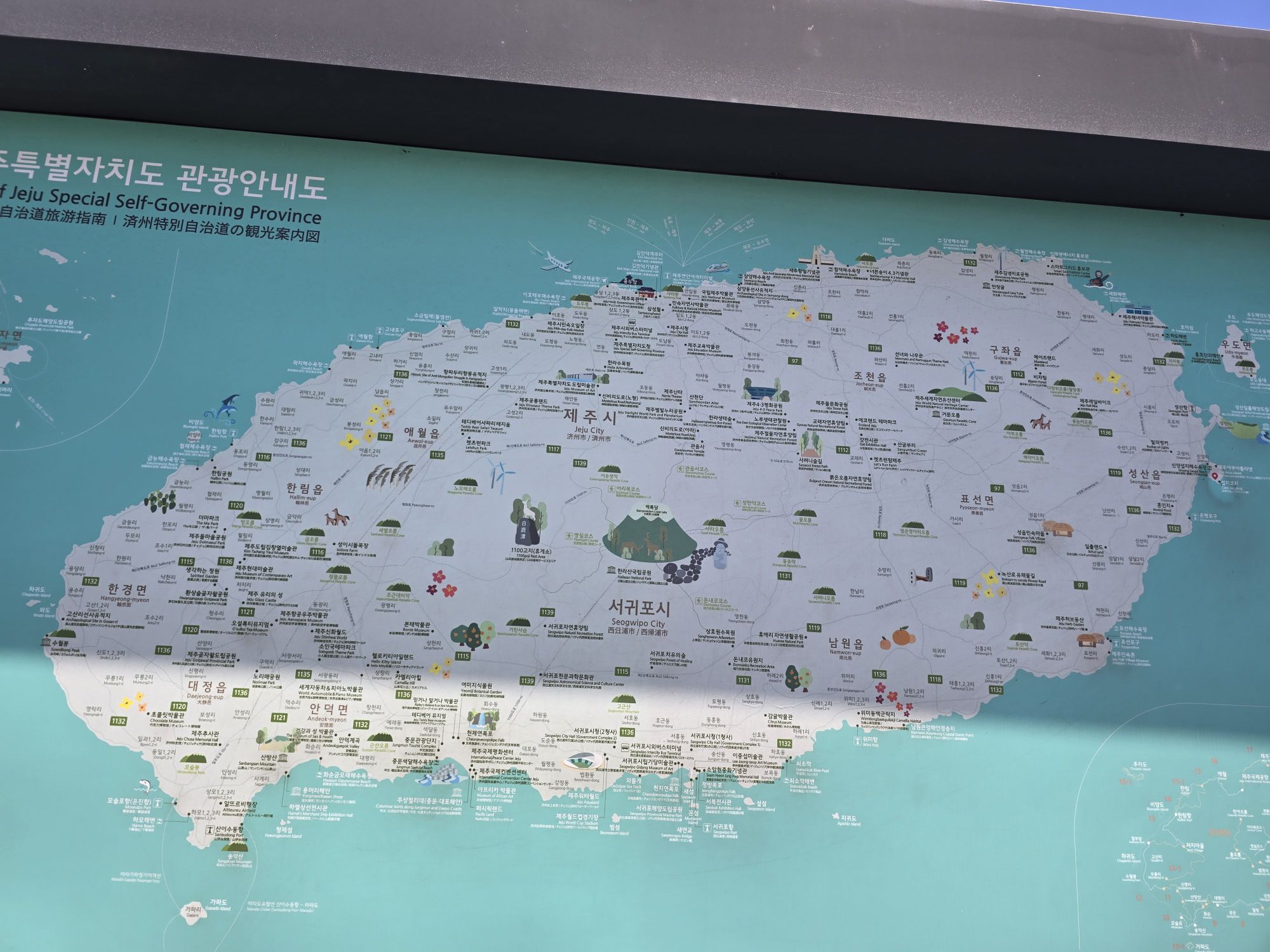 피드 이미지