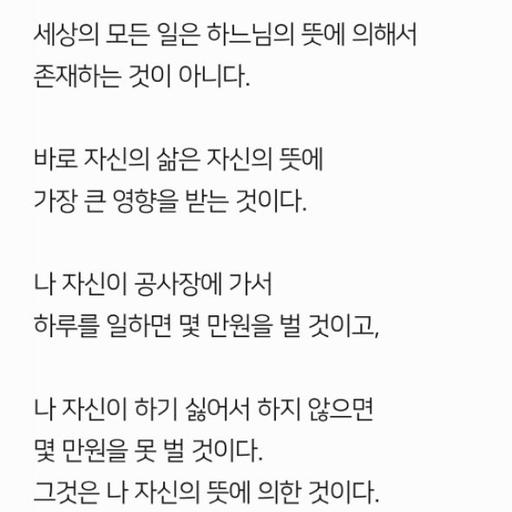 피드 이미지