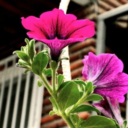 피드에 업로드 된 이미지