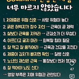 피드에 업로드 된 이미지