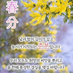 ํผ๋์ ์
๋ก๋ ๋ ์ด๋ฏธ์ง