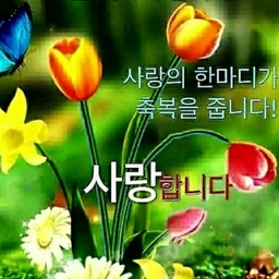 피드에 업로드 된 이미지