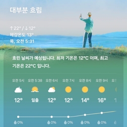 피드에 업로드 된 이미지