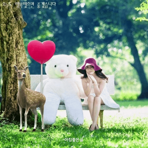 피드 이미지