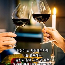 피드에 업로드 된 이미지