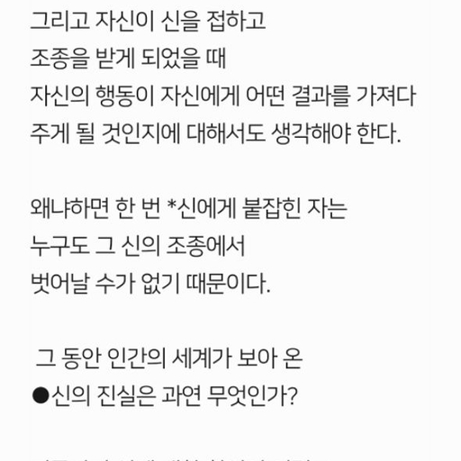 피드 이미지