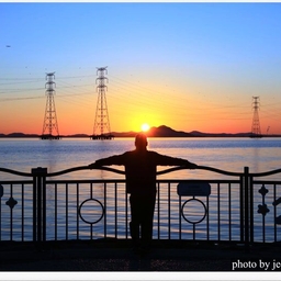 피드에 업로드 된 이미지