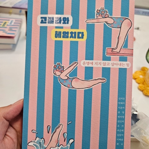피드 이미지